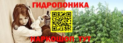 spice Партизанск