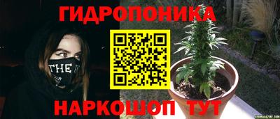 spice Партизанск