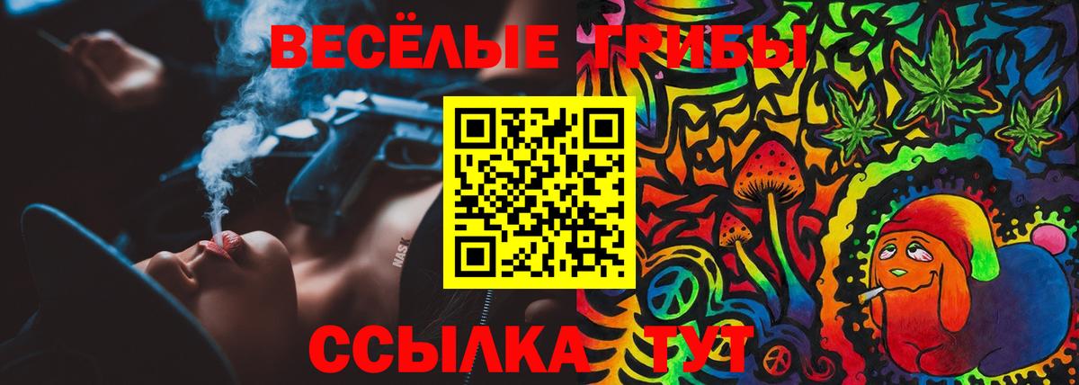 Псилоцибиновые грибы Cubensis Сафоново